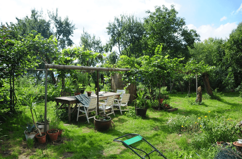 Garten im Sommer
