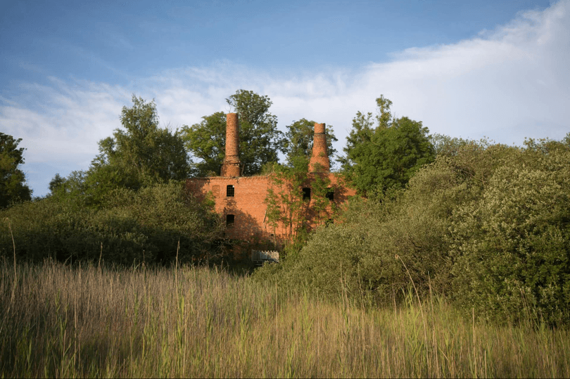 Ruinen aus dem Schilf
