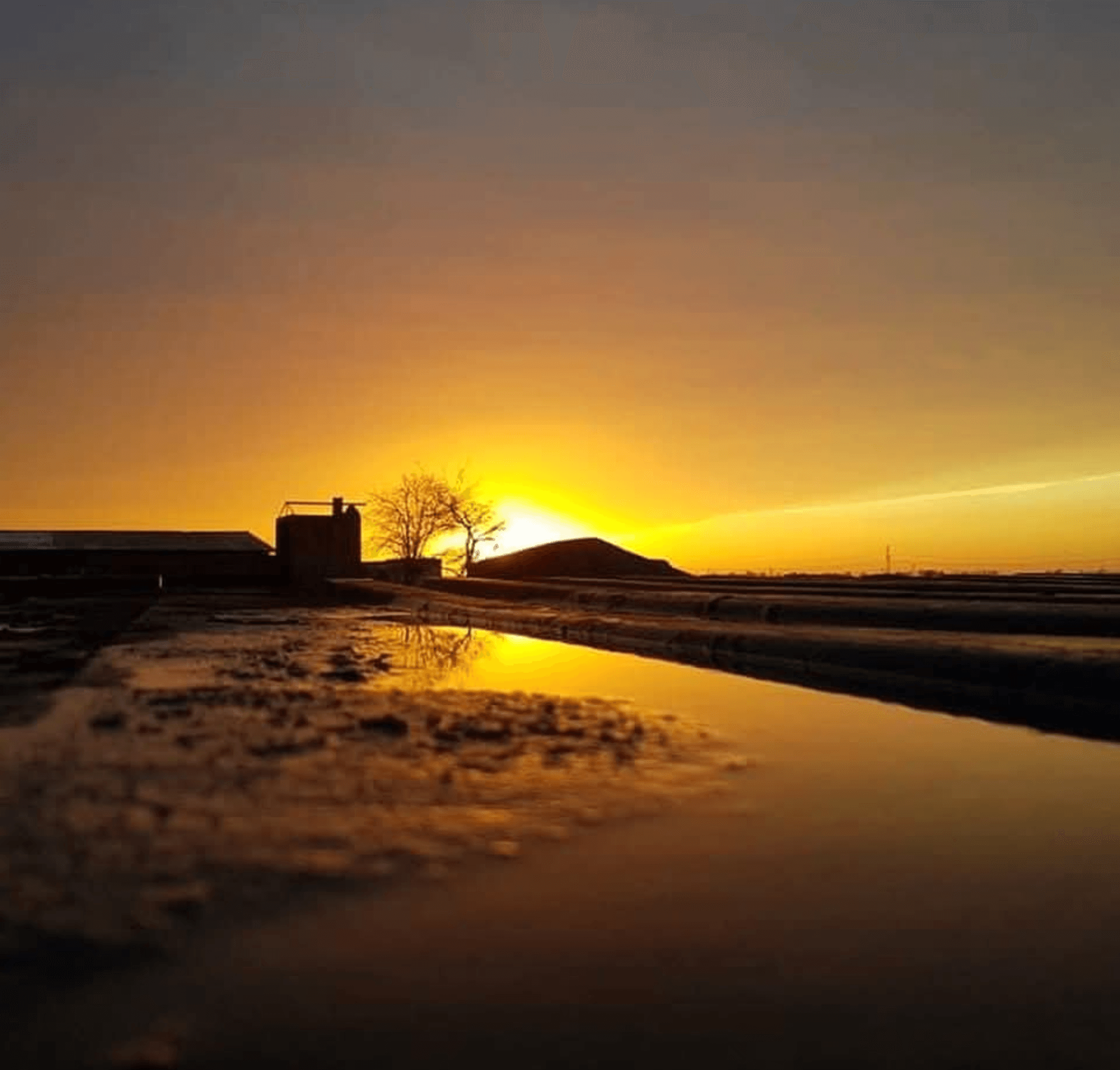 Sonnenaufgang Hansen-Werke