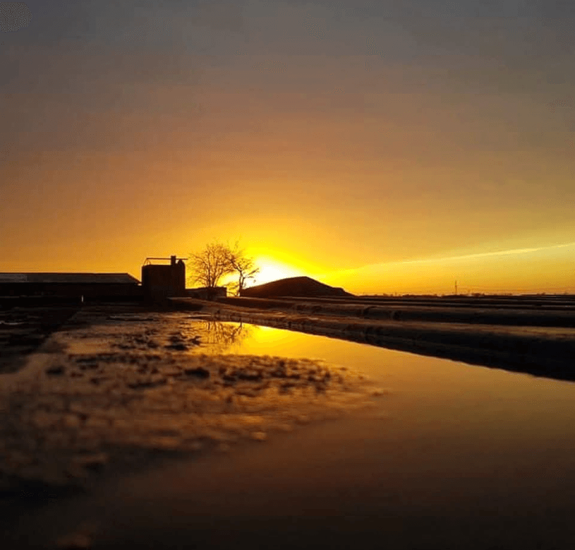 Sonnenaufgang Spiegelung